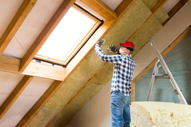 Eco-Friendly or Green Insulation Solutions in Manitou Beach Devils Lake, MI