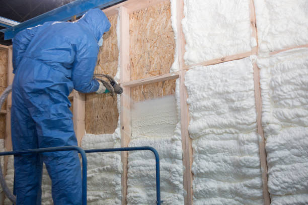 Best Basement Insulation  in Manitou Beach Devils Lake, MI